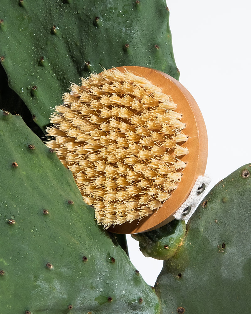 Lymph-Lite Dry Body Brush