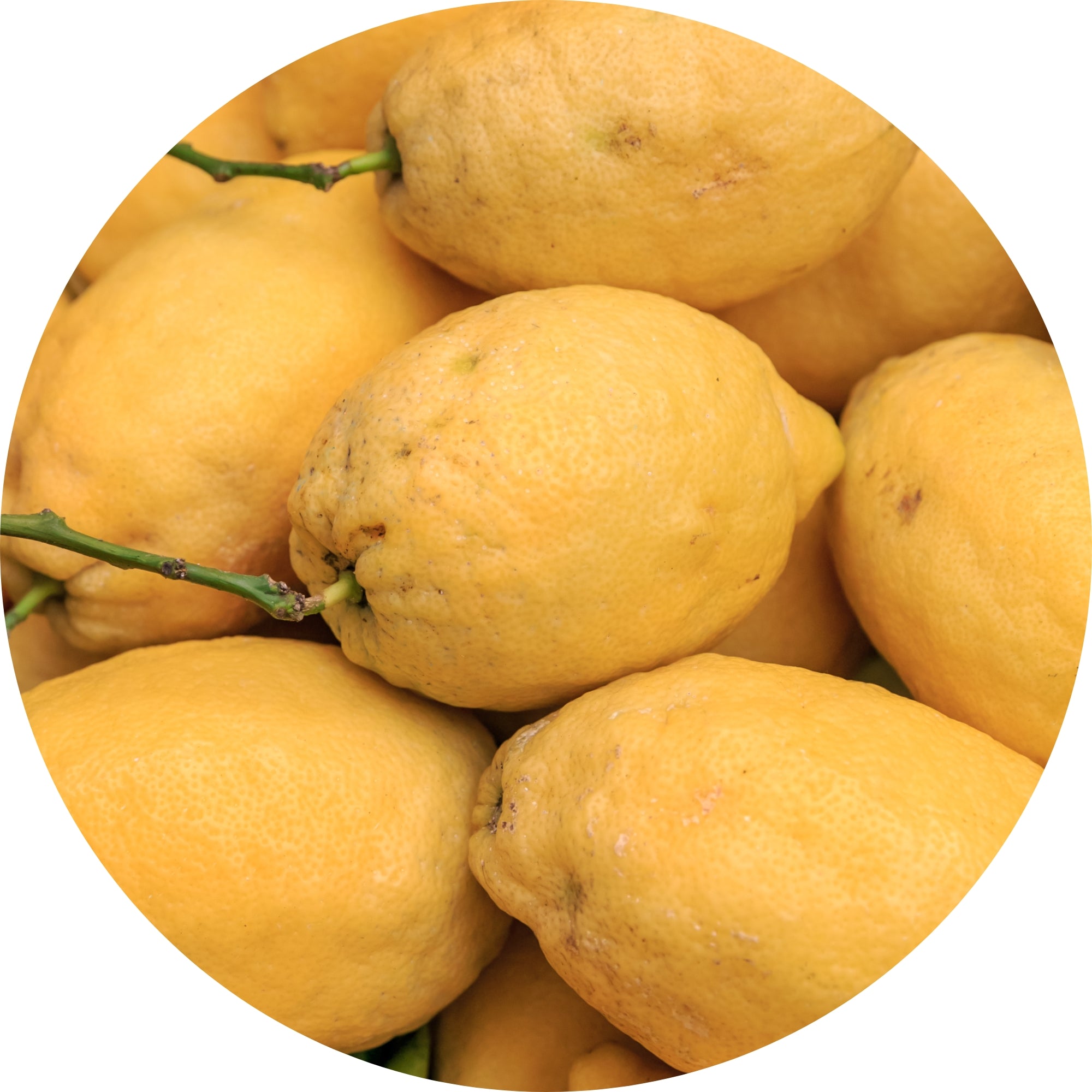 Cellu-Lite lemon ingredient