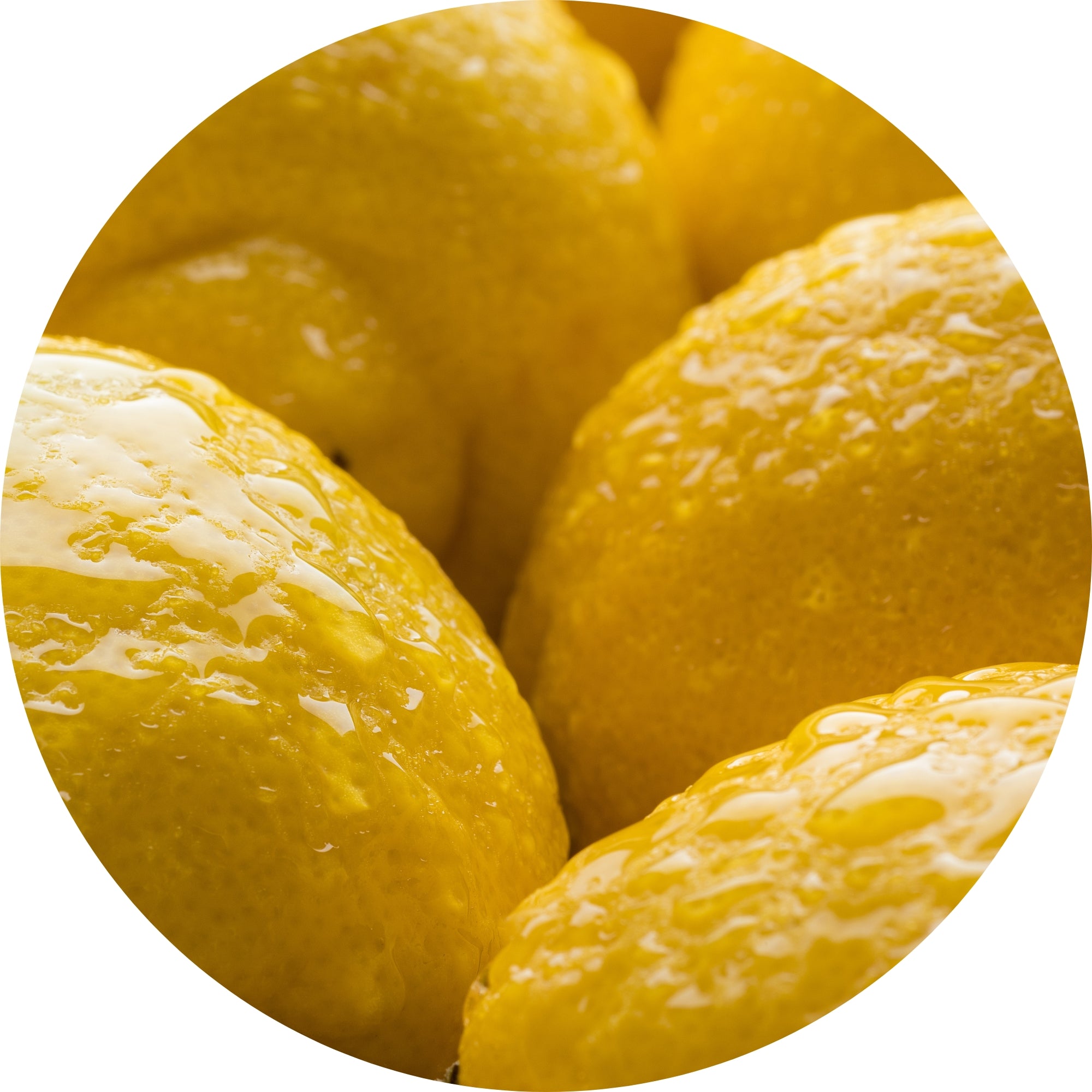 Exfo-Lite lemon ingredient